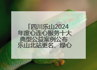 四川乐山2024年度心连心服务十大典型公益案例公布 乐山北站更名、绿心路井盖治理等上榜