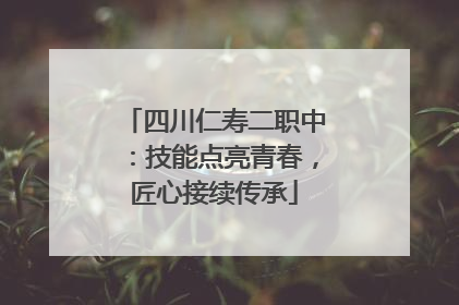 四川仁寿二职中：技能点亮青春，匠心接续传承