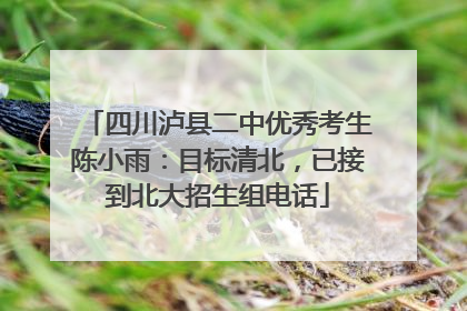 四川泸县二中优秀考生陈小雨：目标清北，已接到北大招生组电话