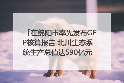 在绵阳市率先发布GEP核算报告 北川生态系统生产总值达590亿元｜新闻发布最前线