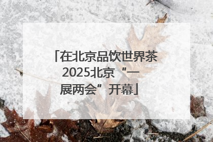 在北京品饮世界茶 2025北京“一展两会”开幕