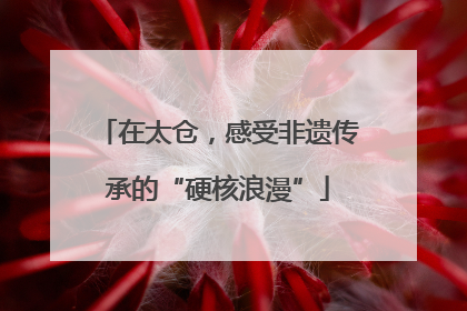 在太仓，感受非遗传承的“硬核浪漫”