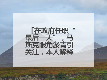 在政府任职“最后一天”，马斯克眼角淤青引关注，本人解释：儿子干的