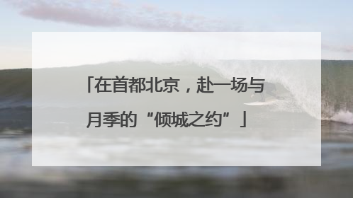 在首都北京，赴一场与月季的“倾城之约”