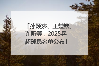孙颖莎、王楚钦、许昕等，2025乒超球员名单公布