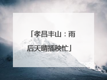 孝昌丰山：雨后天晴插秧忙