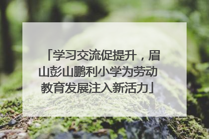 学习交流促提升，眉山彭山鹏利小学为劳动教育发展注入新活力