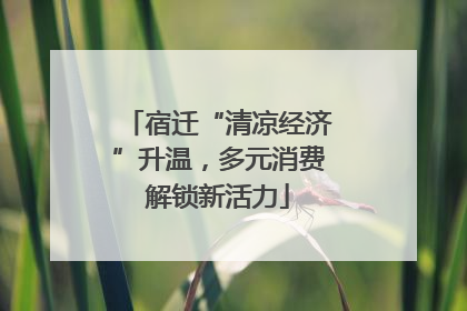 宿迁“清凉经济”升温，多元消费解锁新活力