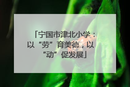 宁国市津北小学：以“劳”育美德，以“动”促发展