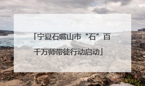 宁夏石嘴山市“石”百千万师带徒行动启动