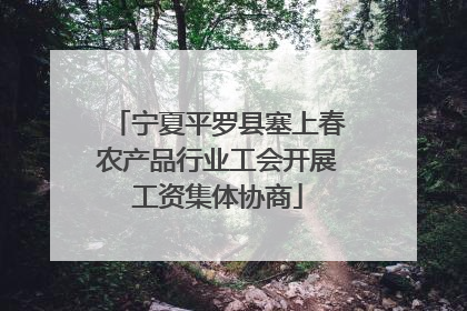 宁夏平罗县塞上春农产品行业工会开展工资集体协商