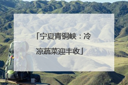 宁夏青铜峡：冷凉蔬菜迎丰收