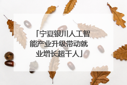 宁夏银川人工智能产业升级带动就业增长超千人