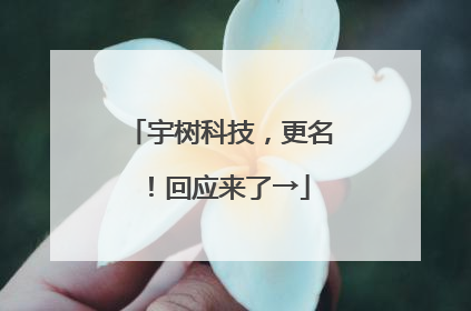 宇树科技，更名！回应来了→