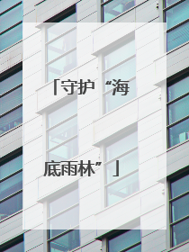 守护“海底雨林”