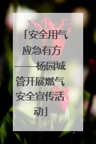 安全用气 应急有方——杨园城管开展燃气安全宣传活动
