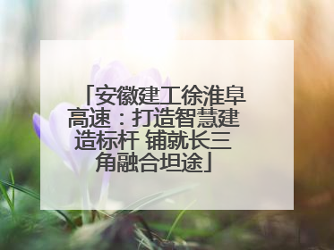 安徽建工徐淮阜高速：打造智慧建造标杆 铺就长三角融合坦途