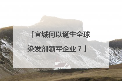 宜城何以诞生全球染发剂领军企业？