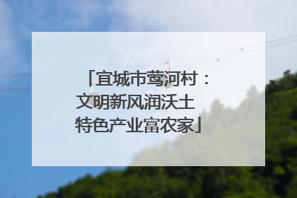 宜城市莺河村：文明新风润沃土 特色产业富农家