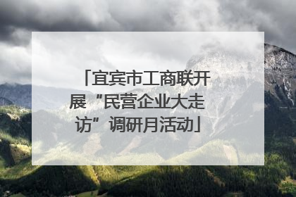宜宾市工商联开展“民营企业大走访”调研月活动