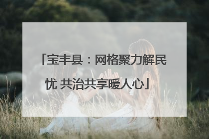 宝丰县：网格聚力解民忧 共治共享暖人心