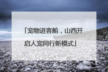 宠物进客舱，山西开启人宠同行新模式