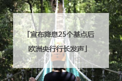 宣布降息25个基点后 欧洲央行行长发声