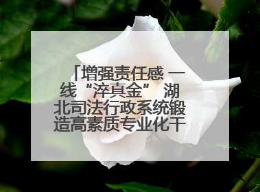 增强责任感 一线“淬真金” 湖北司法行政系统锻造高素质专业化干警队伍