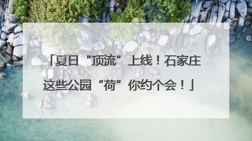 夏日“顶流”上线！石家庄这些公园“荷”你约个会！