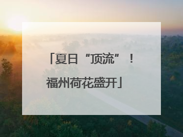 夏日“顶流”！福州荷花盛开