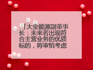 大全能源副董事长：未来若出现符合主营业务的优质标的，将审慎考虑并购机会