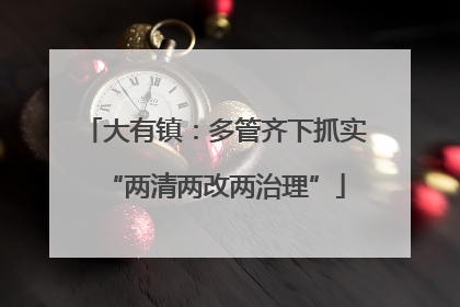 大有镇：多管齐下抓实“两清两改两治理”