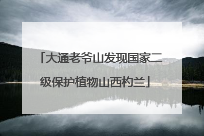 大通老爷山发现国家二级保护植物山西杓兰