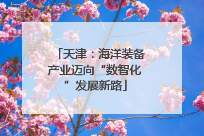 天津：海洋装备产业迈向“数智化”发展新路