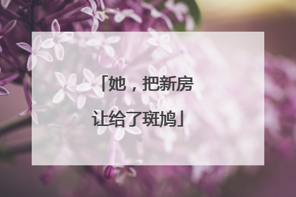 她，把新房让给了斑鸠