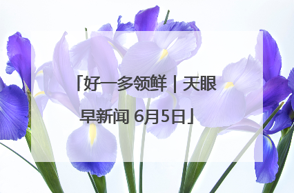 好一多领鲜｜天眼早新闻 6月5日