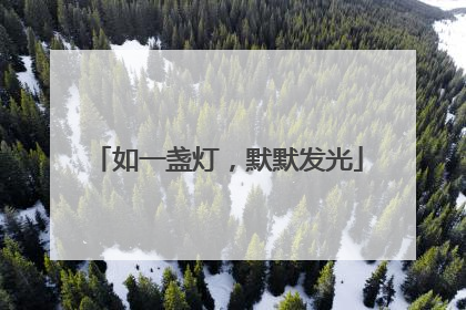 如一盏灯，默默发光