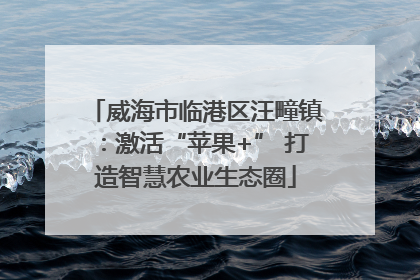威海市临港区汪疃镇：激活“苹果+” 打造智慧农业生态圈