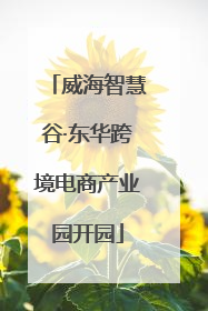威海智慧谷·东华跨境电商产业园开园