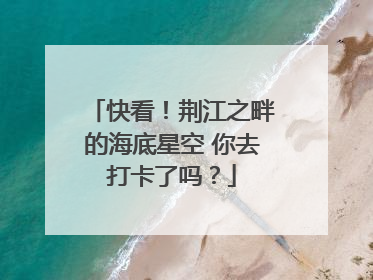 快看！荆江之畔的海底星空 你去打卡了吗？
