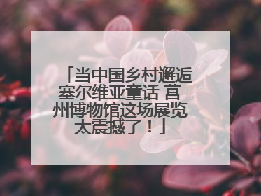 当中国乡村邂逅塞尔维亚童话 莒州博物馆这场展览太震撼了！
