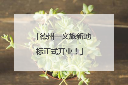 德州一文旅新地标正式开业！