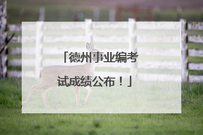 德州事业编考试成绩公布！