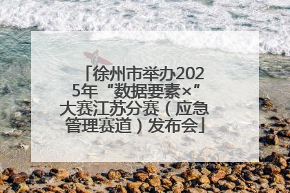 徐州市举办2025年“数据要素×”大赛江苏分赛（应急管理赛道）发布会