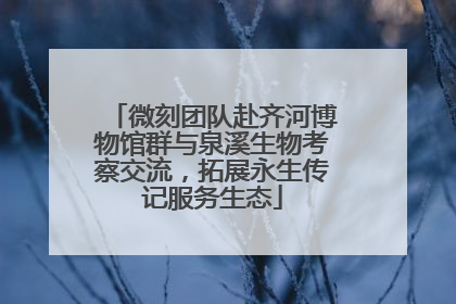 微刻团队赴齐河博物馆群与泉溪生物考察交流，拓展永生传记服务生态