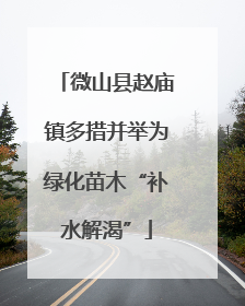 微山县赵庙镇多措并举为绿化苗木“补水解渴”