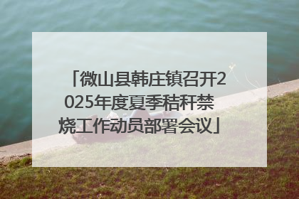 微山县韩庄镇召开2025年度夏季秸秆禁烧工作动员部署会议