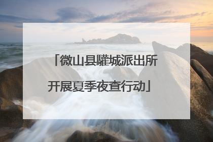 微山县驩城派出所开展夏季夜查行动