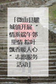微山县驩城镇开展“情系端午邻里情 粽叶飘香暖人心”志愿服务活动