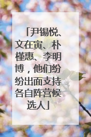 尹锡悦、文在寅、朴槿惠、李明博，他们纷纷出面支持各自阵营候选人